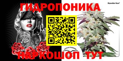 молекула духа Ливны