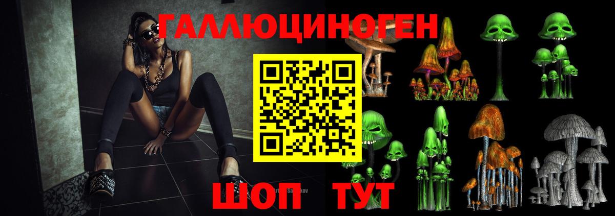 Галлюциногенные грибы Psilocybine cubensis Заводоуковск